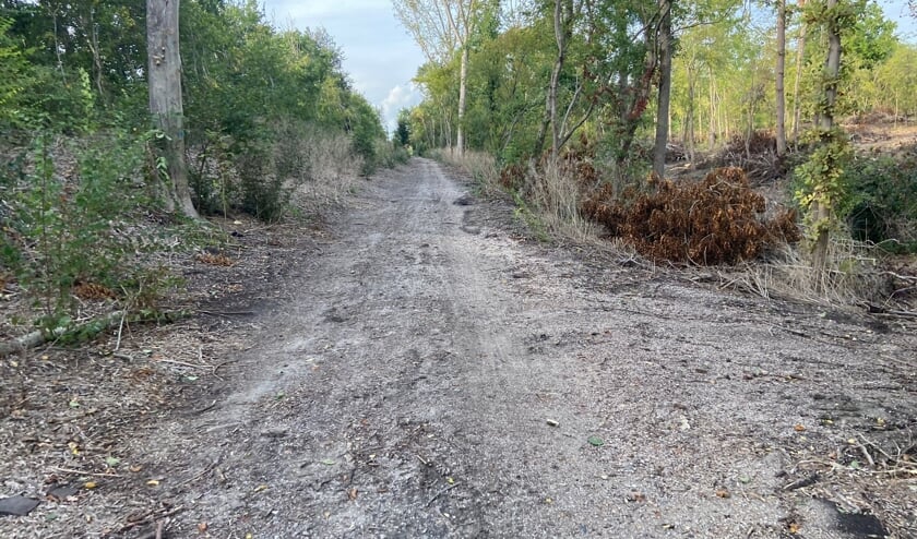 Graveltoertochten Steenbergen en Tholen