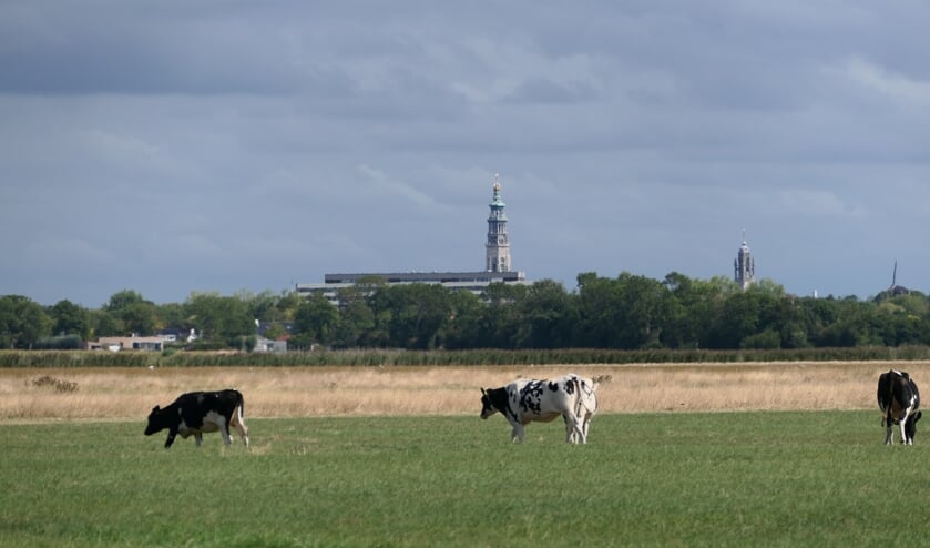 Kenniscentrum Kusttoerisme onderzoekt gedrag van de trouwste bezoekers van Zeeland