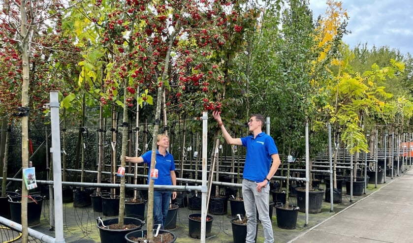 Op de werkvloer bij verkoopmedewerker tuinplanten: Mooie mix van groene kennis, advies en service