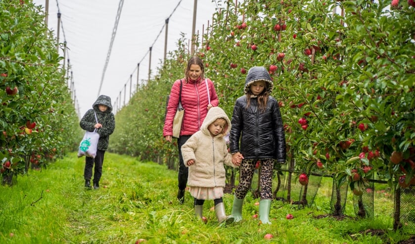 Dit was oktober 2022: Succesvolle Plukdag in Anna Jacobapolder en gemeente presenteert begroting