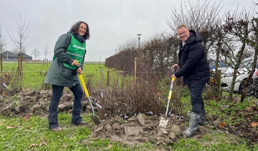 Gemeente Tholen heeft sinds gister eigen 'bomenhub'