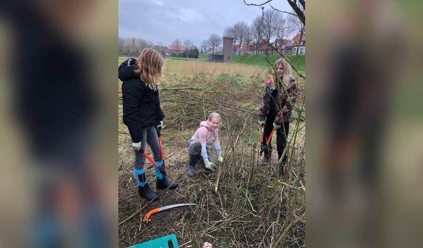 Scholen aan de slag in de Thoolse natuur