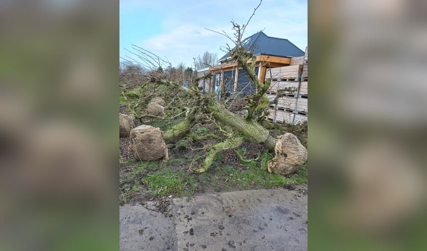 Perenbomen maken plaats voor kinderboerderij en speeltuin