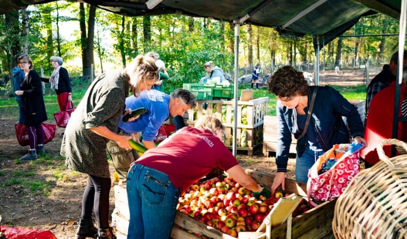 Smaakvol helpen het klimaatprobleem op te lossen?