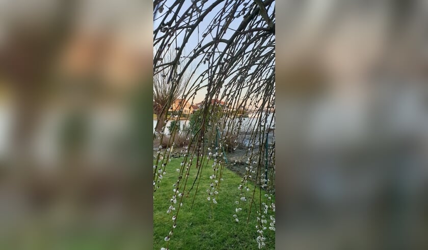 Koud weekeinde met zonnige zaterdag voor de boeg