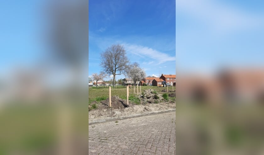 Eerste bomen in nieuw park Smerdiek-West