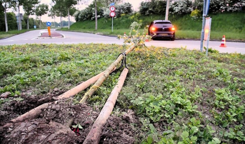 Automobilist schiet over rotonde en botst tegen boom in Middelburg