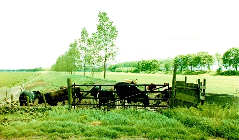 Heemkundekring Stad en Lande van Tholen