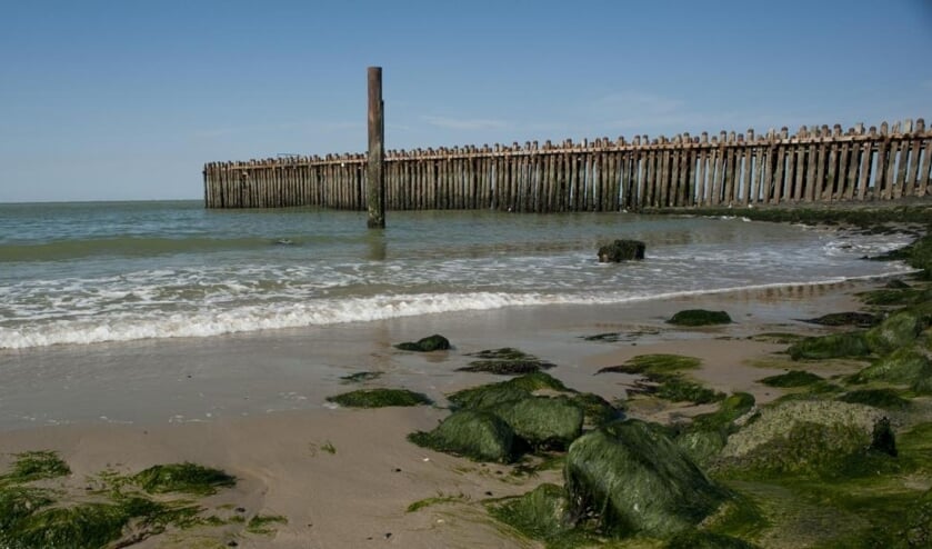 Waterschap Scheldestromen verwijdert loszittende planken Zuiderhoofd Westkapelle