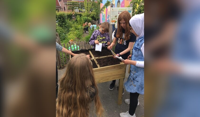 Bergpadschool kijkt tevreden terug op deelname eerste editie ‘Maand van de Schooltuin’