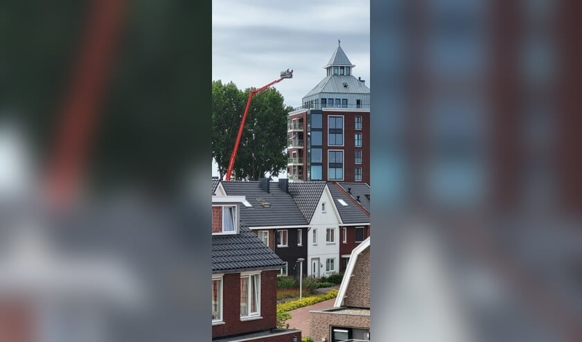 Vogeltje vast in punt van dak van Kruittoren in Tholen