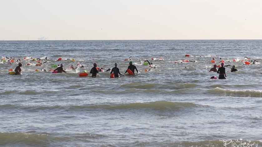 Zwemmen Langs Walcheren biedt zomeravondtochten in open water