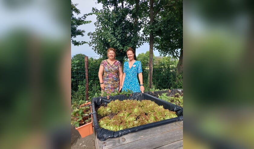 Ter Weel is blij met ‘indicatieloze dagbesteding’
