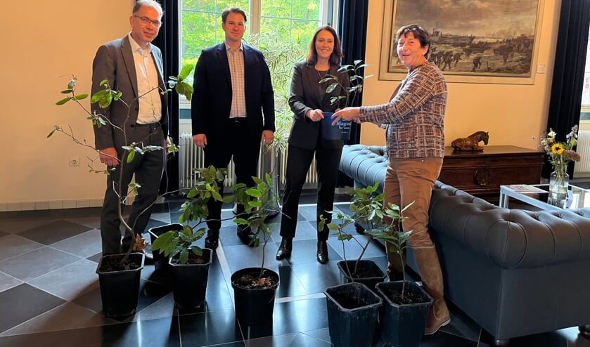 Campagne gaat voor 60.000 extra bomen in Zeeland