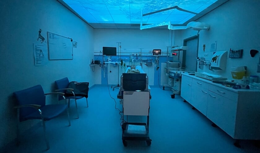 Projector ‘Qwiek.Up’ helpt ziekenhuispatiënten ontspannen