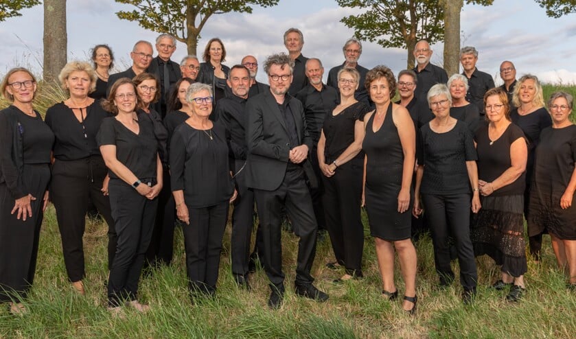 Vocaal Ensemble Cantare uit Goes bestaat 30 jaar