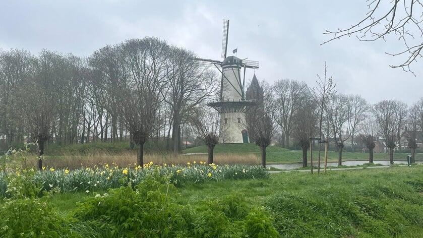 Gemeente legt vijf monumentale molens stil in verband met veiligheid