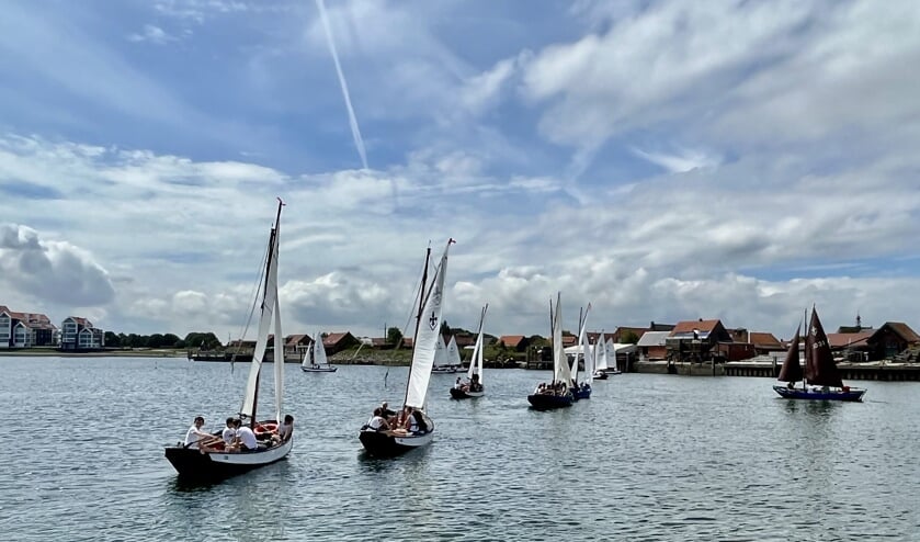Scoutingbootjes kleuren Oosterschelde bij 53e zeilwedstrijd