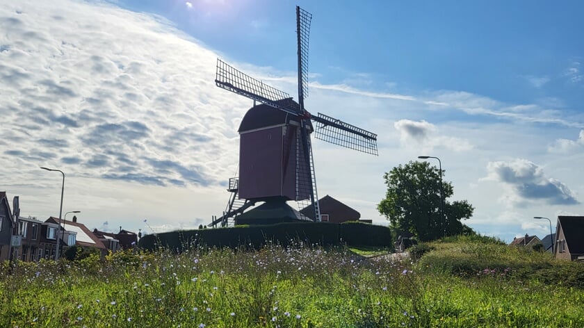 Nieuwe wieken voor twee stilstaande molens in Smerdiek en Stalland