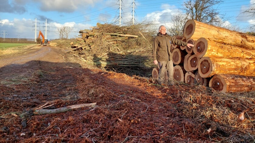 Boswachter René Wink: 'Bomen kappen hoort erbij, maar het is jammer als het door ziekte moet'