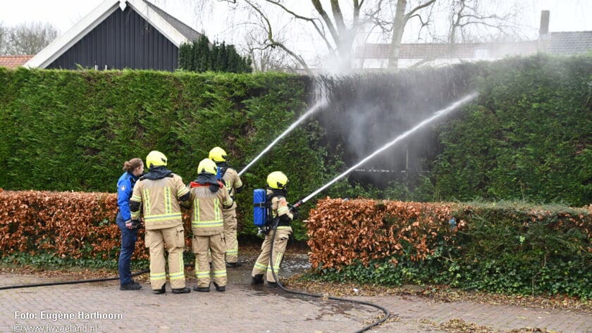 Coniferenhaag in brand in Heinkenszand op oudjaarsdag