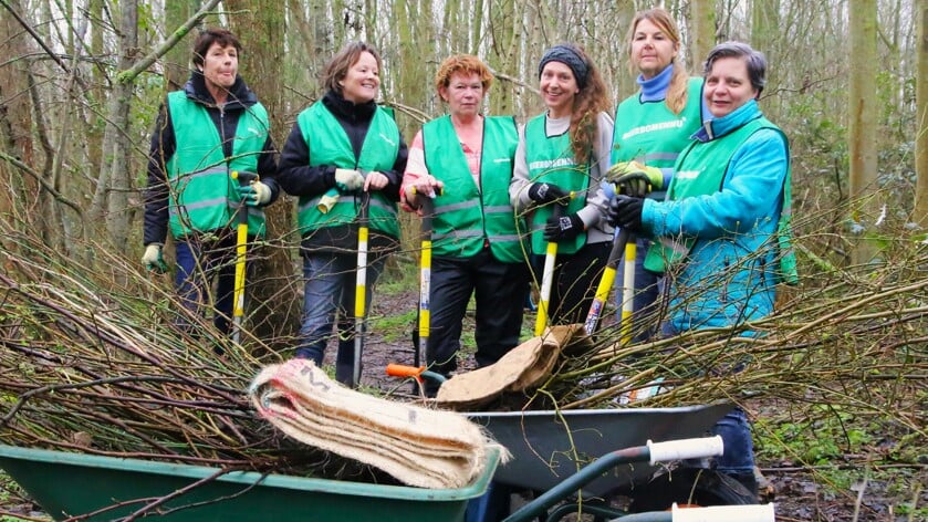 Deze vrijwilligers geven honderden bomen in Sint-Annaland een tweede kans