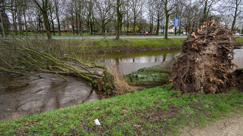 Mist en zon maken plaats voor stormachtig weekend door orkaan Humberto