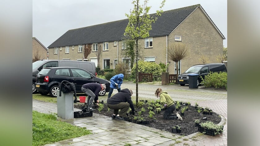 Workshops over nieuw programma Groen in Goes