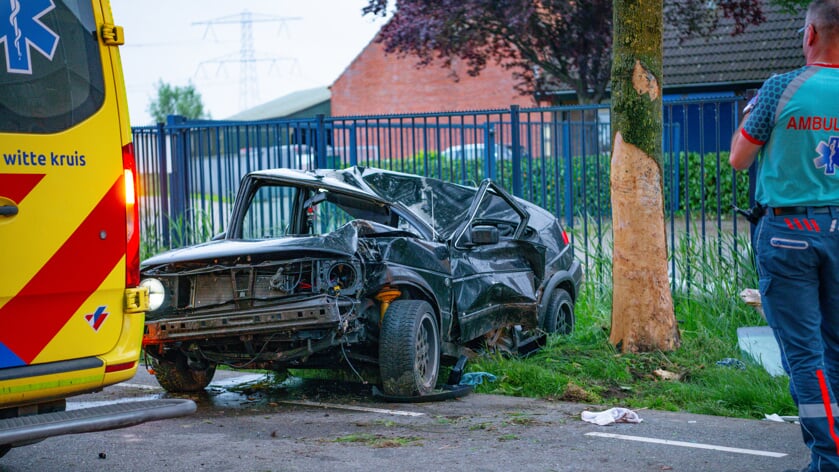 Bestuurder Botst Frontaal Tegen Boom Aan Tholenseweg