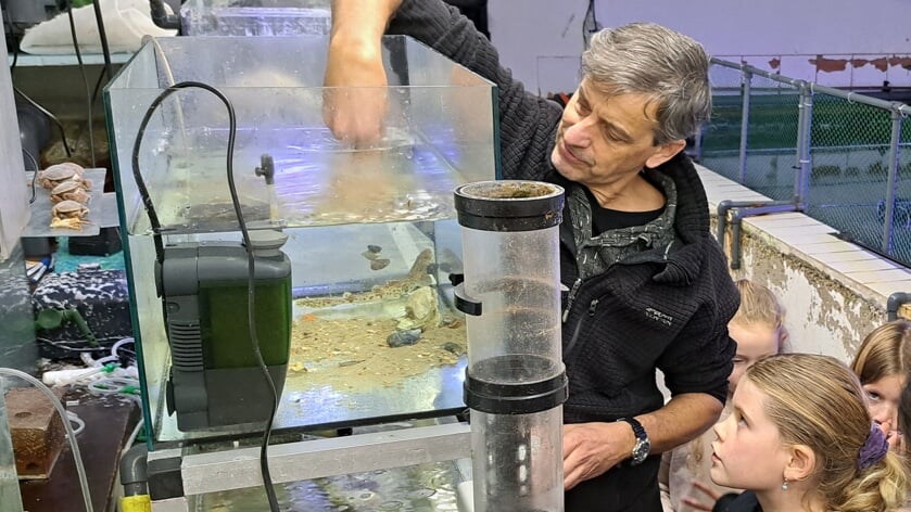 Kijkje achter de schermen van het zeeaquarium in Terra Maris