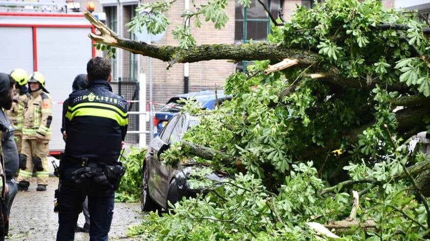 Boom belandt op auto Molenwater Middelburg