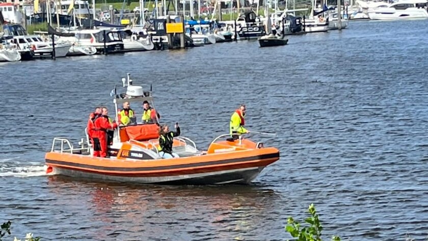 Zwaan raakt verstrikt in haak en visdraad haven Tholen, brandweer schiet te hulp