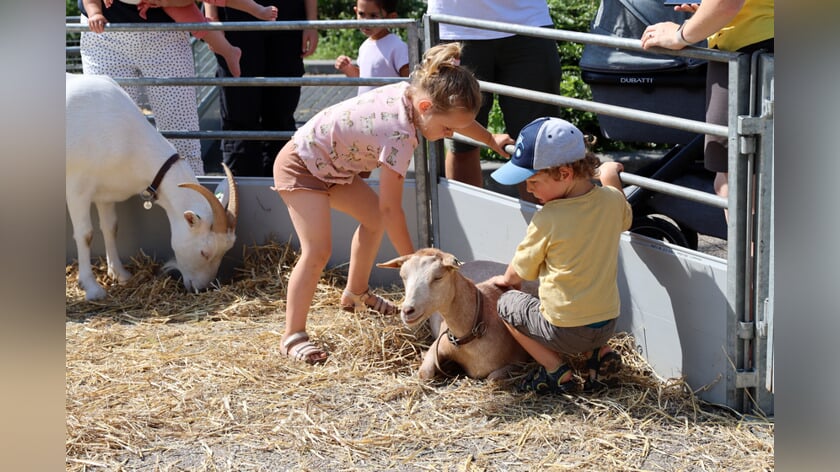 24ste editie Goes Kinderstad