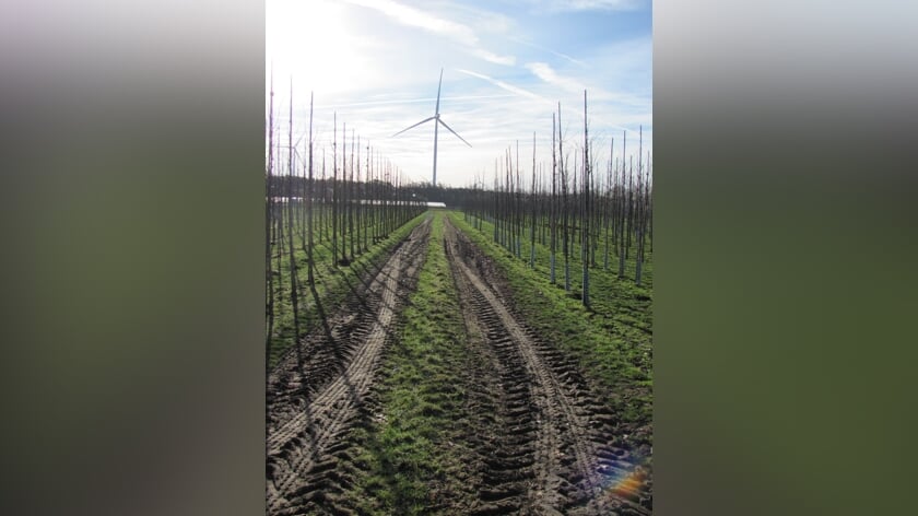Tien Zeeuwse projecten krijgen bijna miljoen euro subsidie