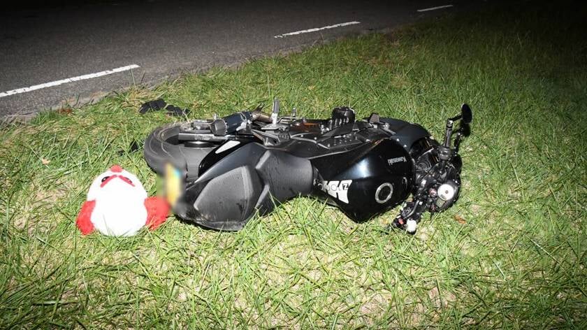Motorrijder ten val na aanrijding met hert bij Wolphaartsdijk