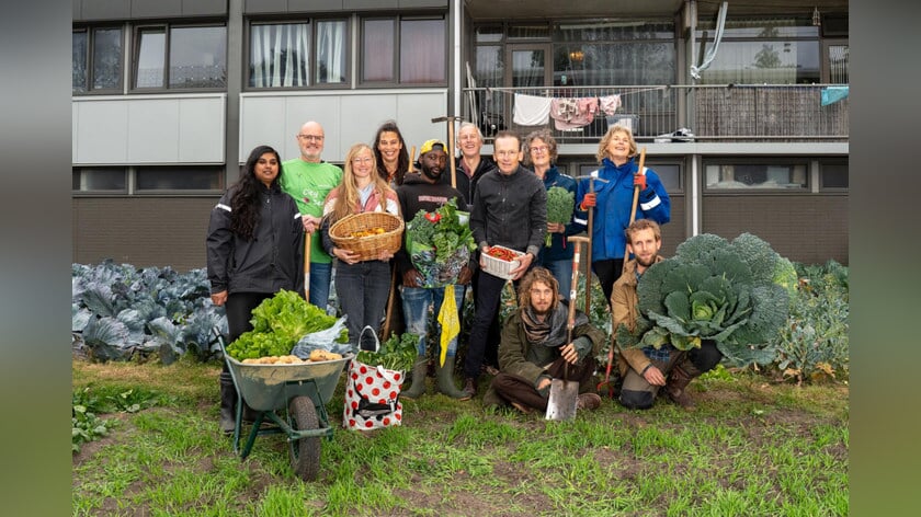 City Seeds uit Middelburg maakt kans op Gouden Eekhoorn Award