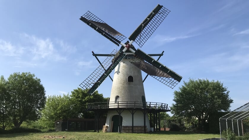 Thoolse molens openen dit weekend de deuren tijdens Nationale Molendag