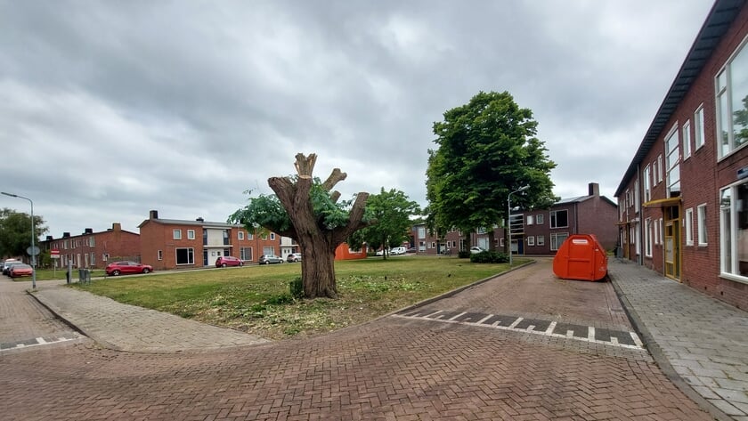 Noodkap in Oost-Souburg: Boom aan Nagelenburgsingel dreigt om te vallen