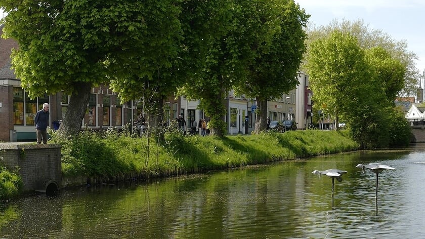 Zijn het zwanen of ganzen? En stijgen of dalen ze?