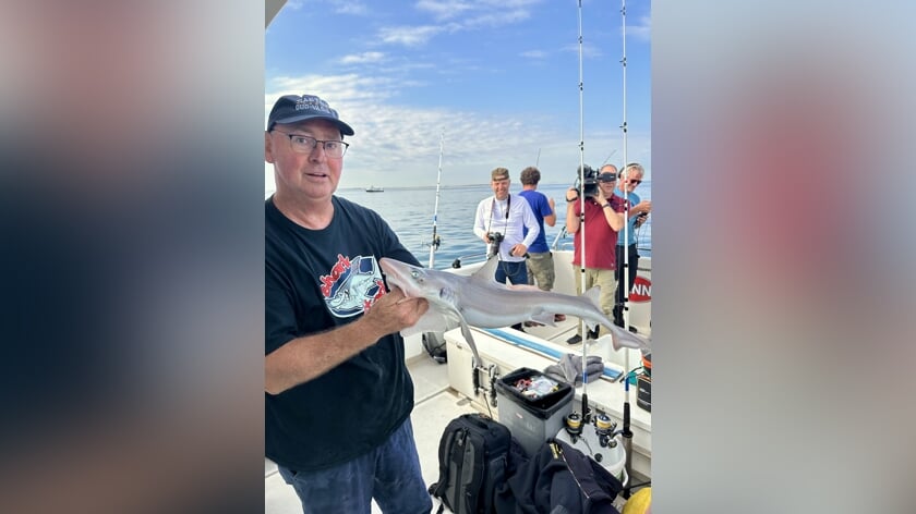 Zeeuwse kustwateren zijn kraamkamer voor haai