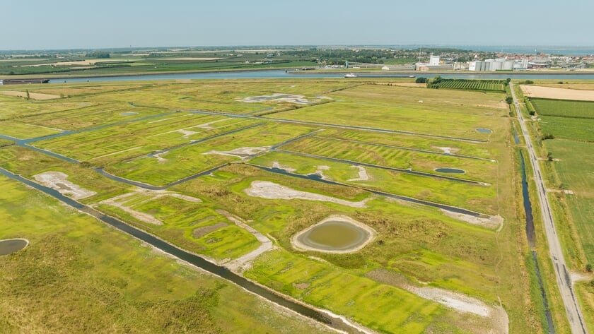 Ruim 400.000 euro voor Yerseke Moer