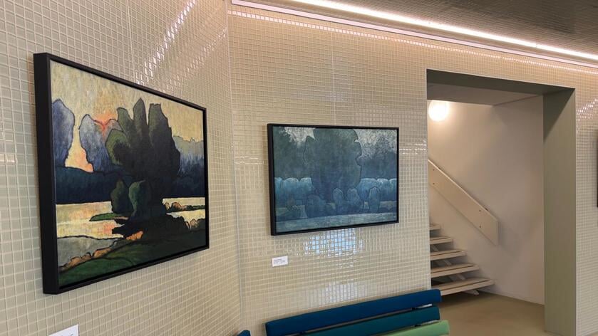 Expositie John Groenewegen van der Weiden in gemeentehuis Heinkenszand
