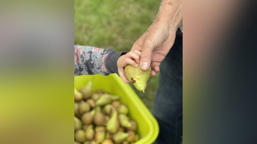 De Wegwijzer komt even buurten en plukken bij De Woongaard