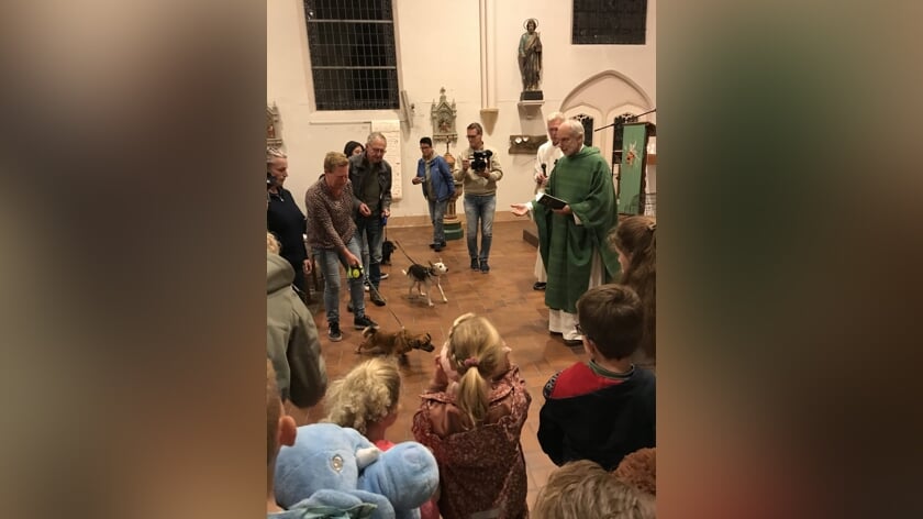 Huisdieren en knuffels worden gezegend