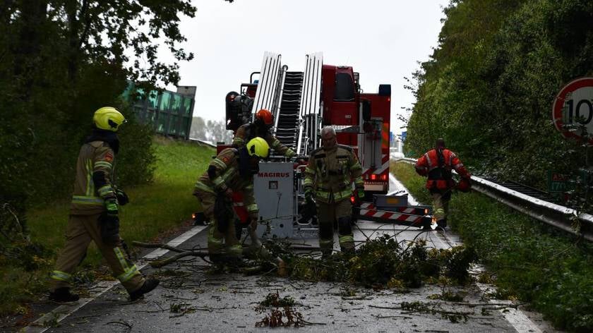 Boom blokkeert toerit A58 bij Oost-Souburg