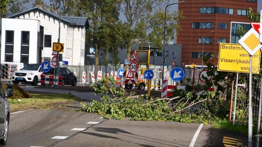 Verkeershinder door grote tak op Prins Hendrikweg Vlissingen