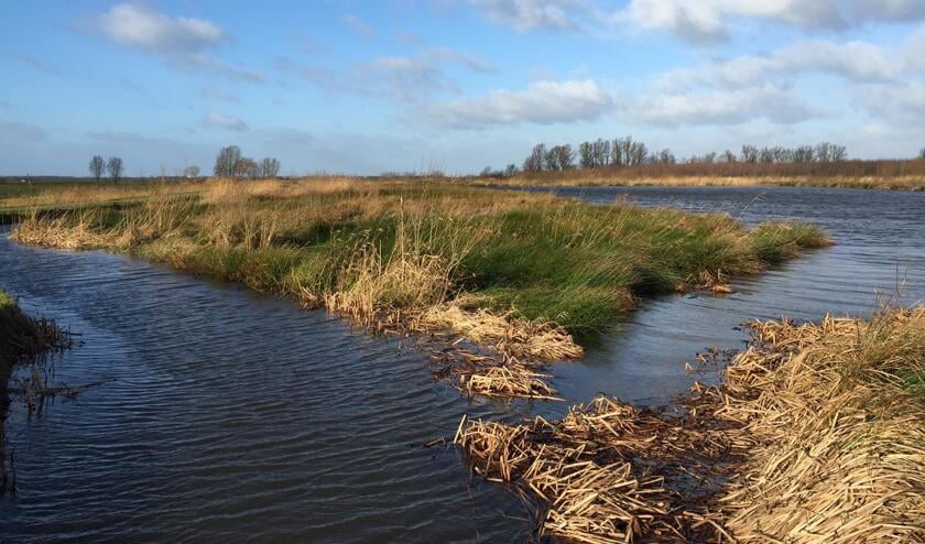 De bergboezem bij de Haagse Beemden staat voor een flink deel onder water na het hoog water van 9 en 10 januari 2015