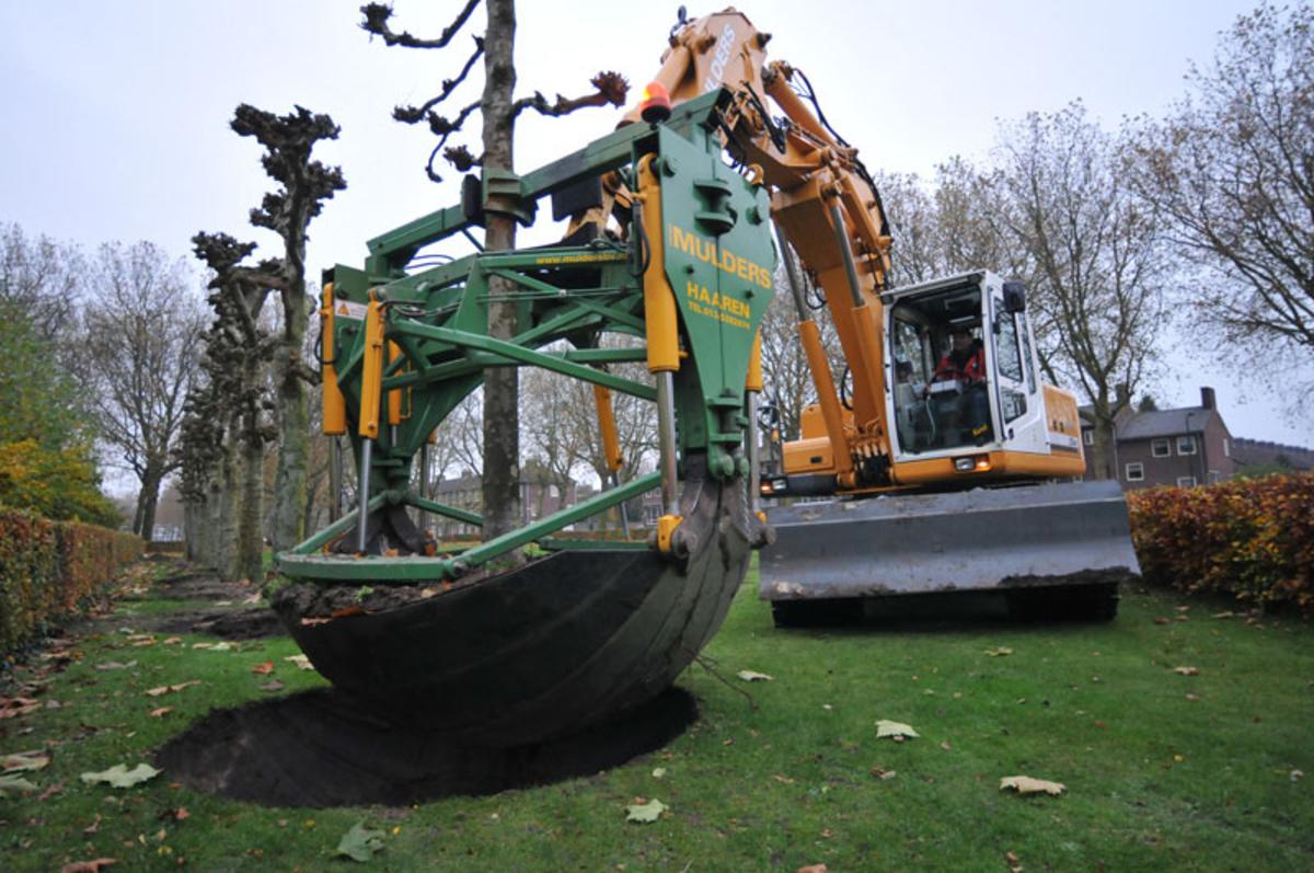 Bomen moet wijken voor de komst van het Huis van de Heuvel. foto Perry Roovers