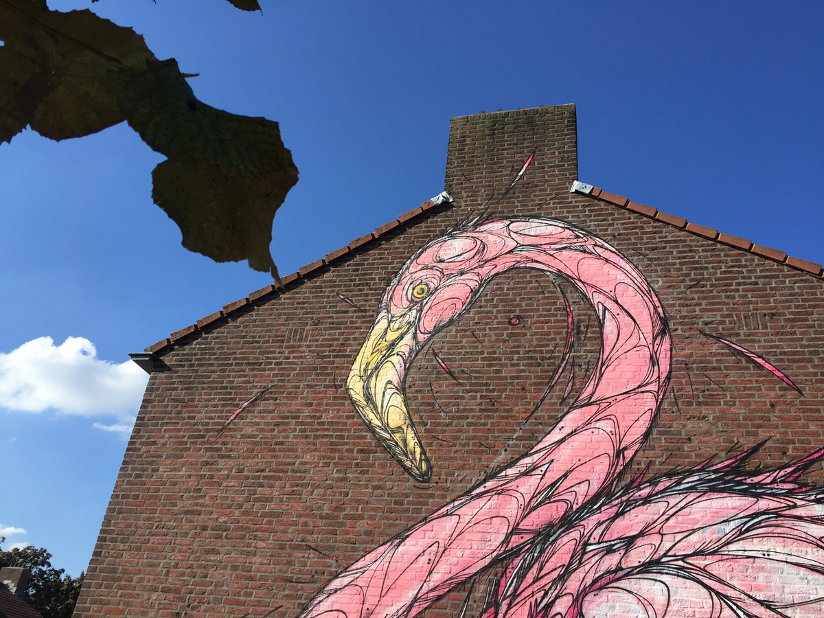 Als onderdeel van de Blind Walls Gallery beschilderde kunstenaar Dzia drie gevels in de Linie. Een toekan, flamingo en zwaan sieren de woningen.