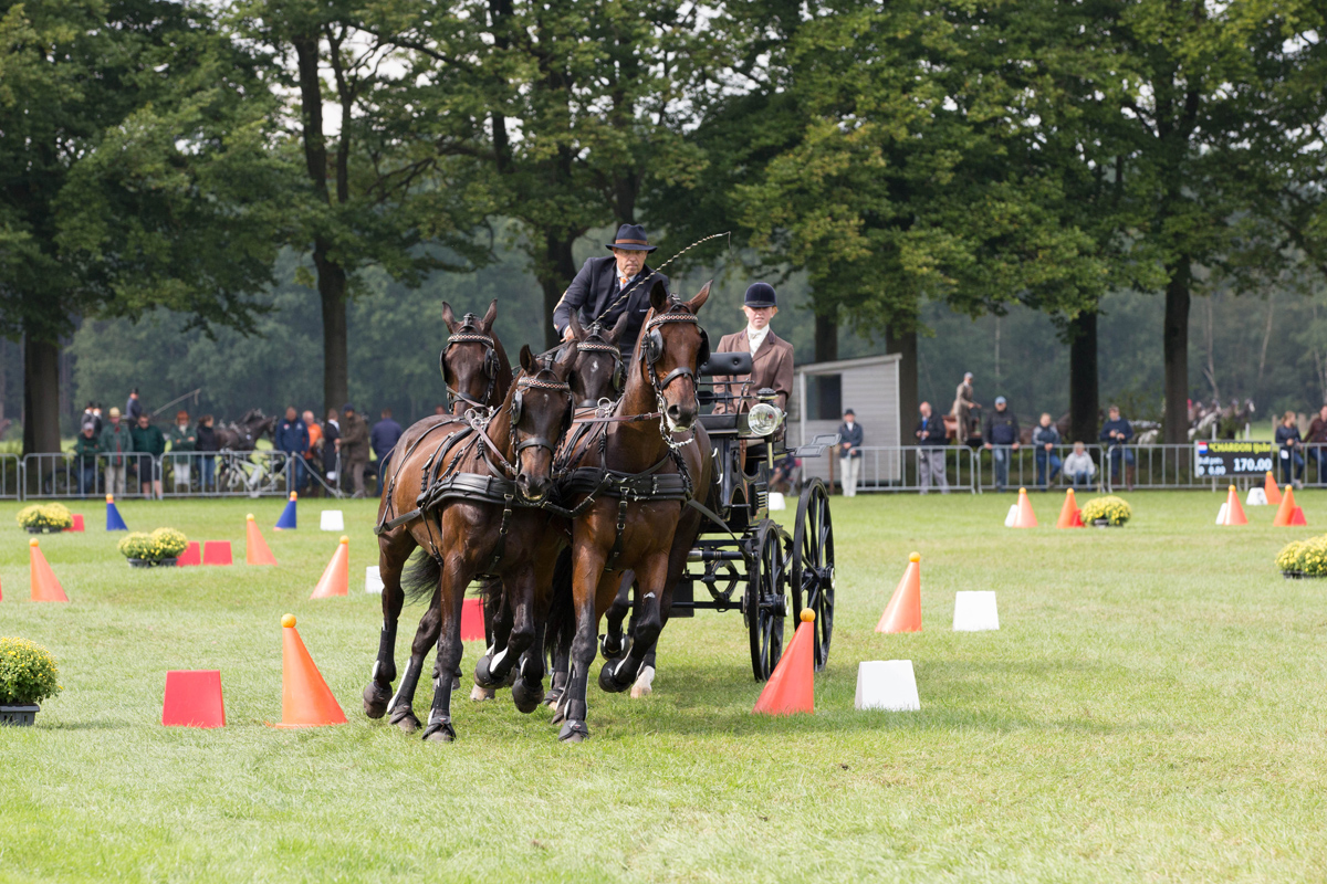 De zondag van Outdoor Brabant.